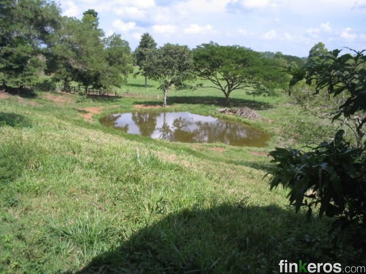 SE VENDE FINCA O CAMBIO POR CASA  - Finca en Cimitarra, Santander